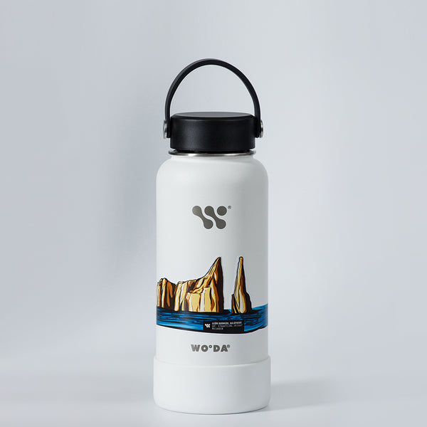 Sticker León dormido (Insular- Galápagos)